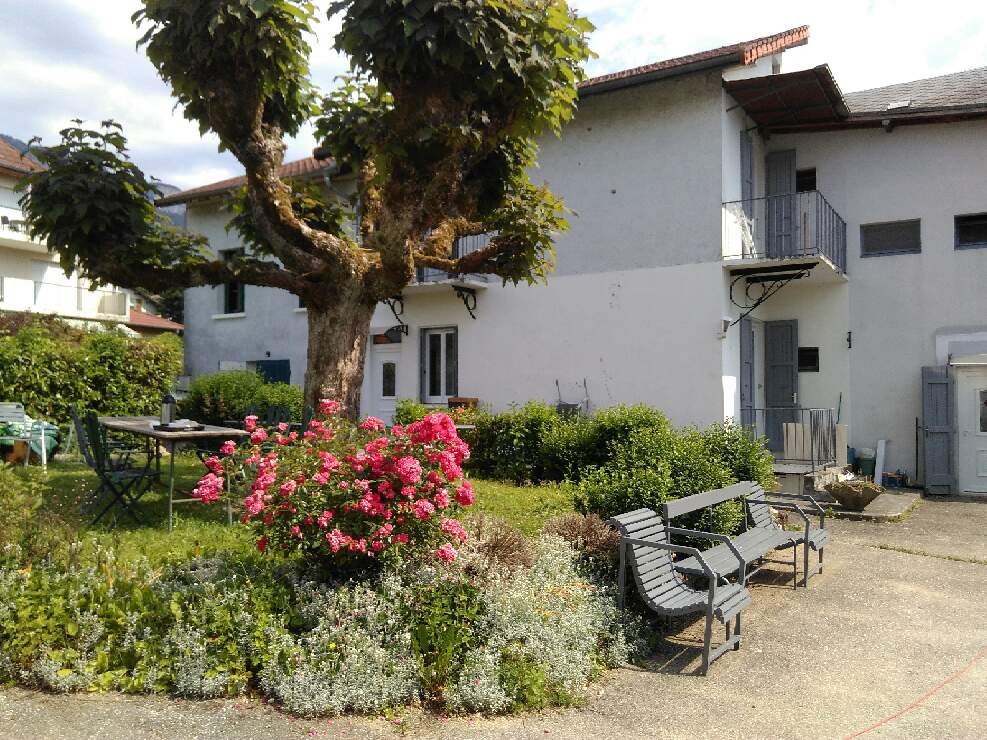 Parc arboré 8